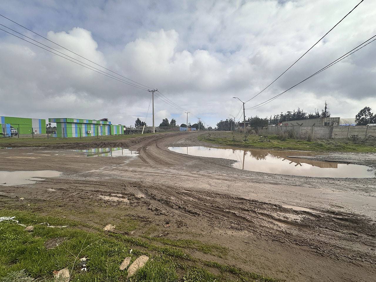 Los Aromos 586 - Imagen 15