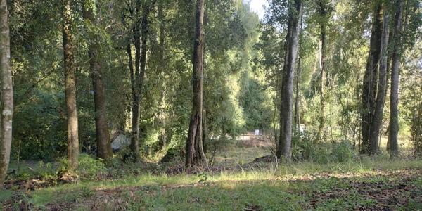 Fundo Arthur, Lote 78 - Imagen 48