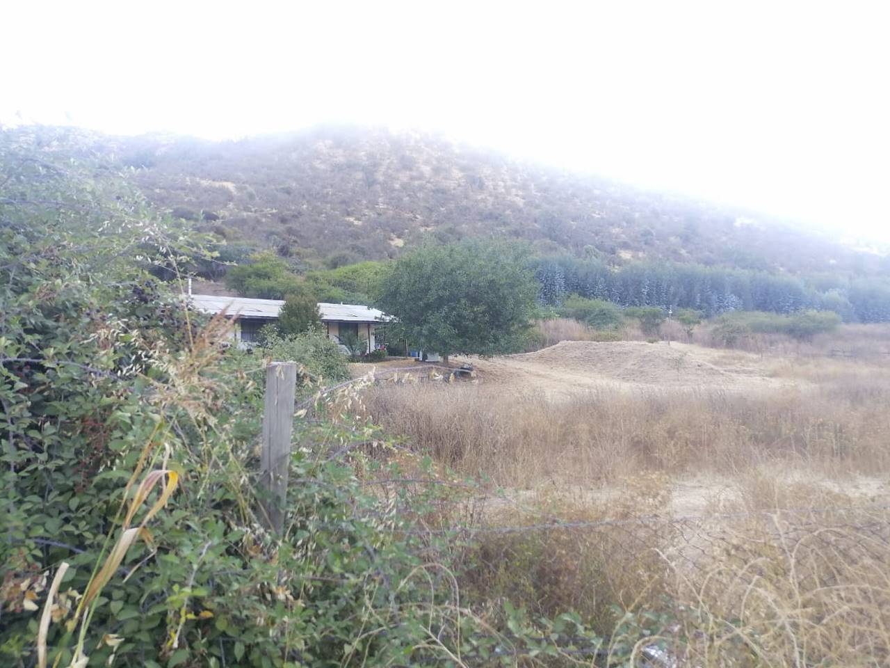 Los Silos, Lote 2A - Imagen 4