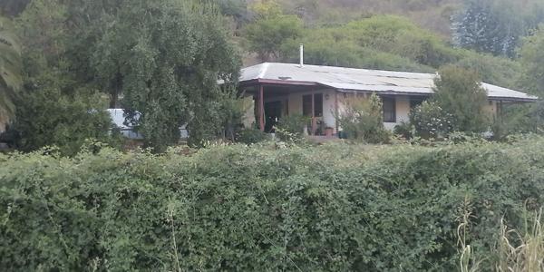 Los Silos, Lote 2A - Imagen 7