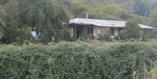 Los Silos, Lote 2A - Imagen 8