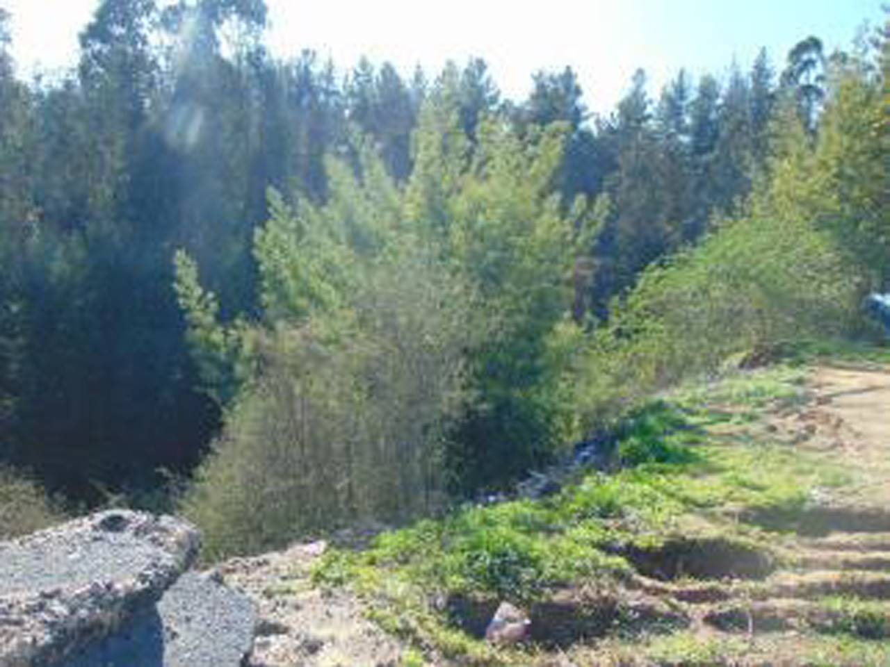 Camino La Polvora S/N, Parcela 12 - Imagen 23
