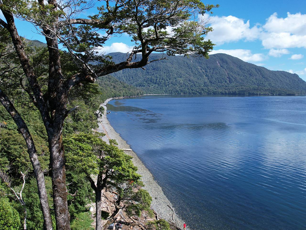 Costa Huemules, Parcela 186 - Imagen 4