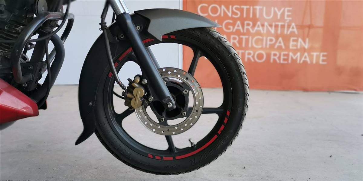 BAJAJ PULSAR NS 125 - Imagen 16