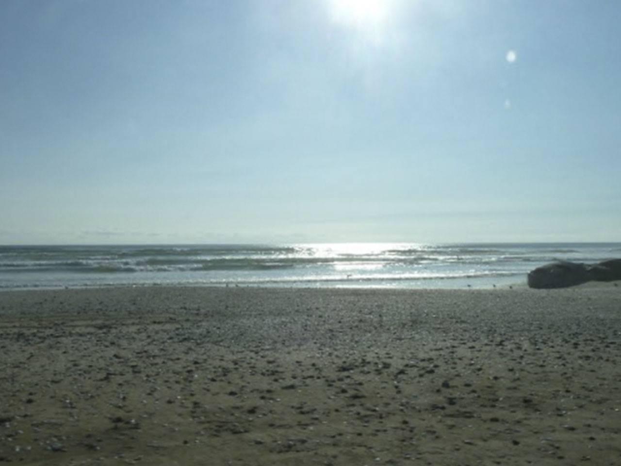 Fundo California, Parcela 38 - Imagen 1