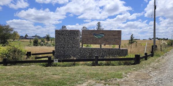Pichilaguna Lote 9-B - Imagen 10