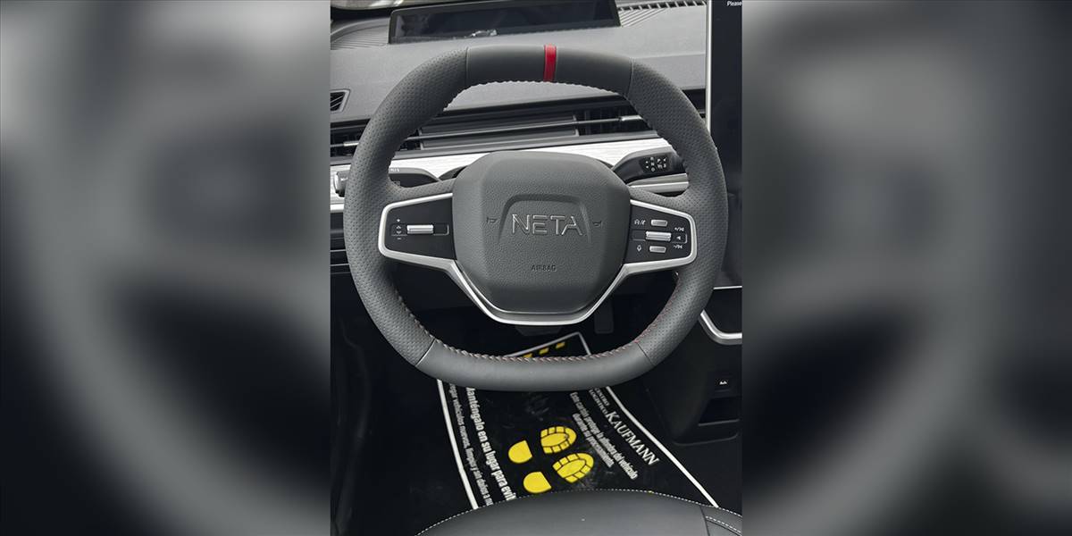 Neta Aya - Imagen 10
