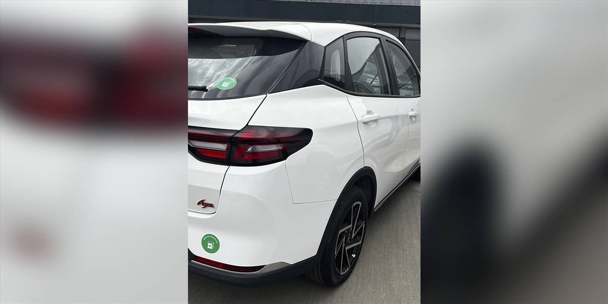 Neta Aya - Imagen 26