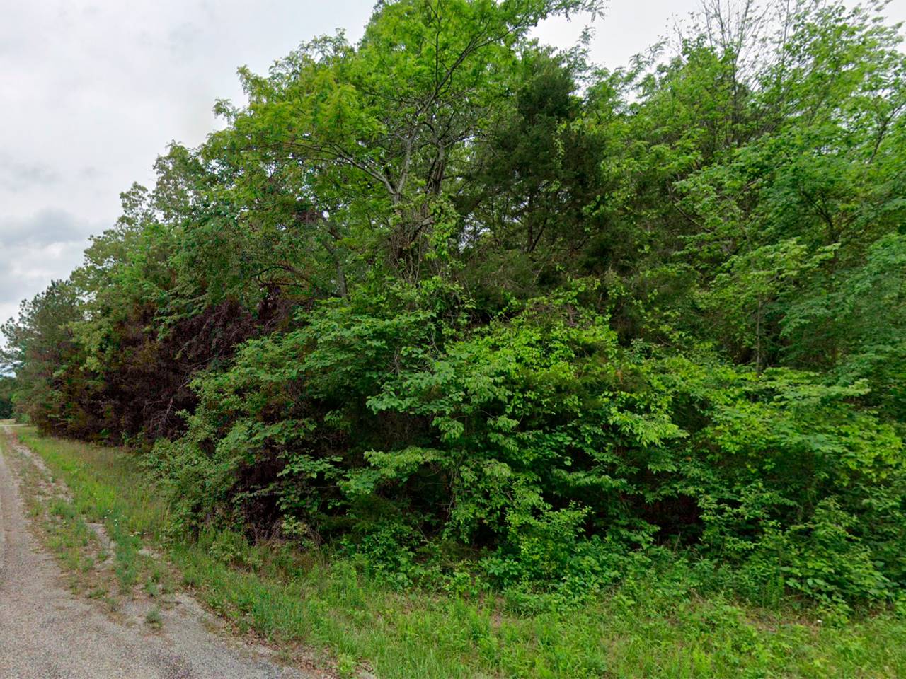 Enterprise Lane, Lote 2, Horseshoe Bend, AR 72576 - Imagen 10