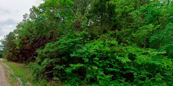 Enterprise Lane, Lote 2, Horseshoe Bend, AR 72576 - Imagen 17