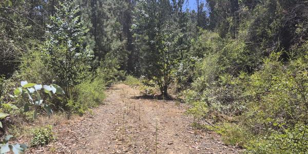 Fundo El Batro, Lote B - Imagen 20