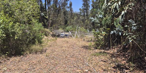 Fundo El Batro, Lote B - Imagen 21