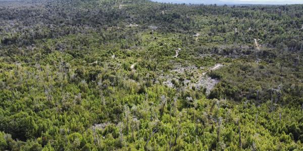 Molulco, Parcela 53 - Imagen 17