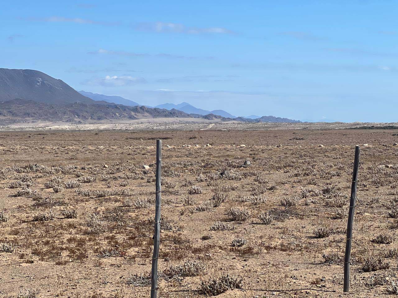 Fundo California, Parcela 33 - Imagen 4