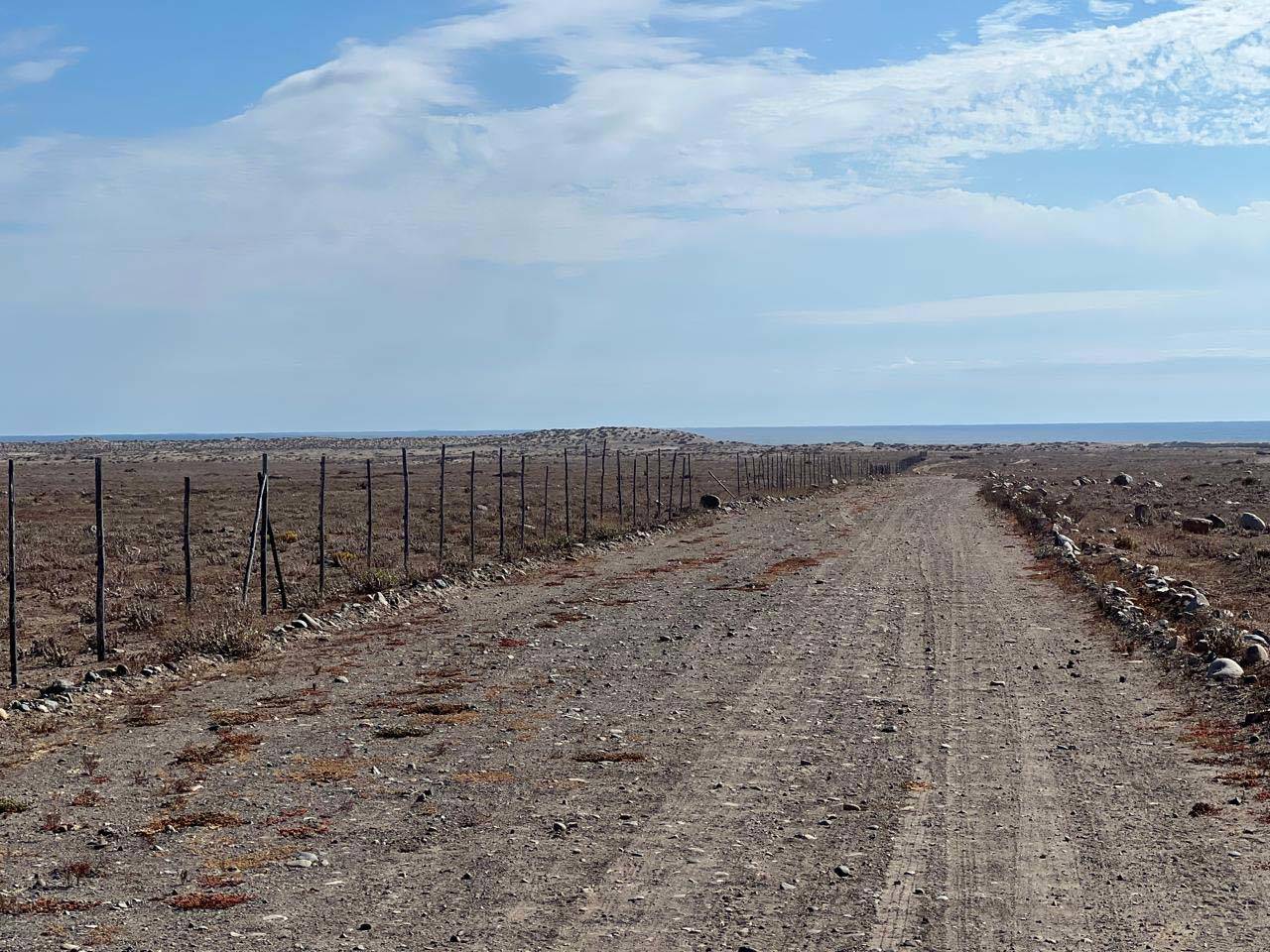 Fundo California, Parcela 33 - Imagen 5
