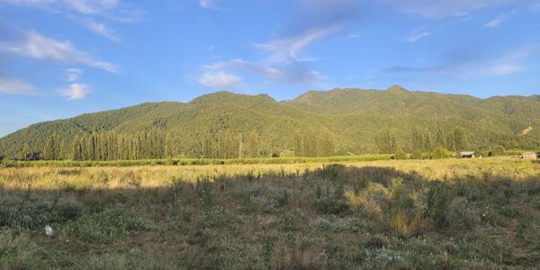 La Laguna. Lote F /  Lote A-2, Parcela 32 - Imagen 4