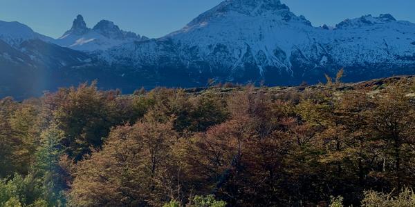Cerro Castillo, Parcela 80 - Imagen 18
