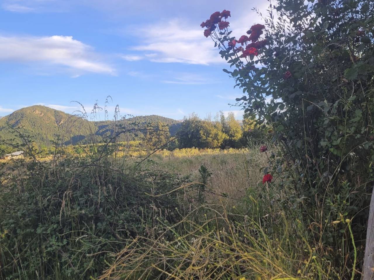 La Laguna. Lote F /  Lote A-2, Parcela 32 - Imagen 2