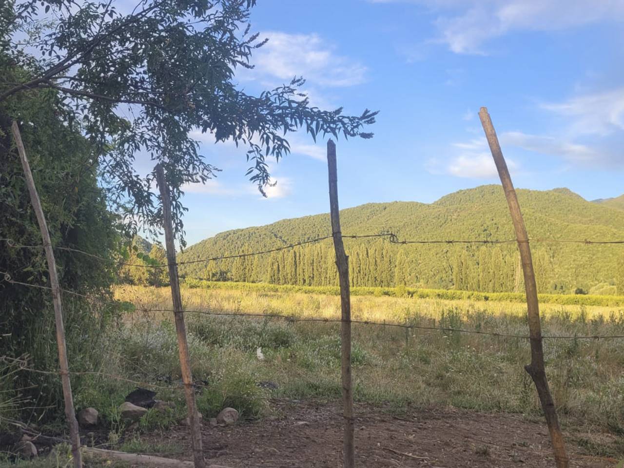 La Laguna. Lote F / Lote A-2, Parcela 32 - Imagen 3