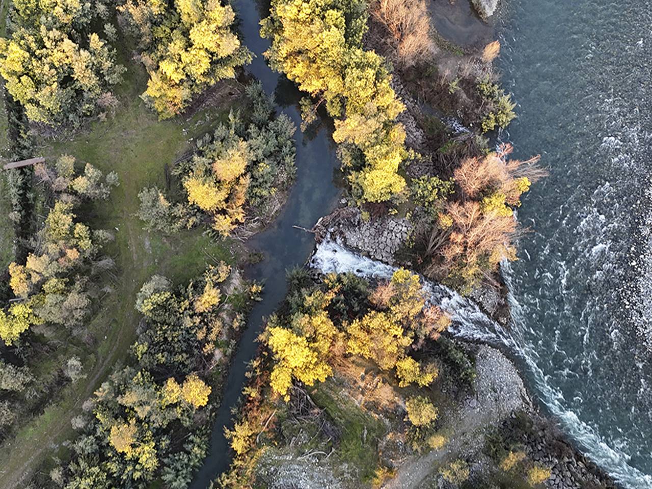 Isla de arriba, Huapi, Lote 9 - Imagen 5