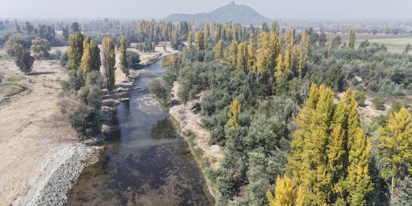 Isla de arriba, Huapi, Lote 9 - Imagen 13