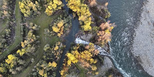 Isla de arriba, Huapi, Lote 9 - Imagen 14