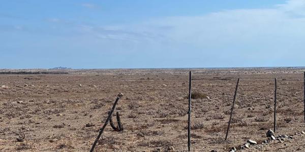 Fundo California, Parcela 34 - Imagen 12