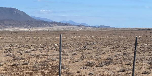 Fundo California, Parcela 34 - Imagen 13