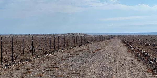 Fundo California, Parcela 34 - Imagen 14