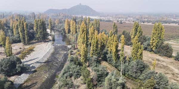 Isla de arriba, Huapi , Lote 10 - Imagen 11