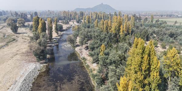 Isla de arriba, Huapi , Lote 10 - Imagen 13