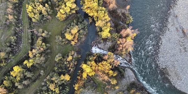 Isla de arriba, Huapi , Lote 10 - Imagen 14