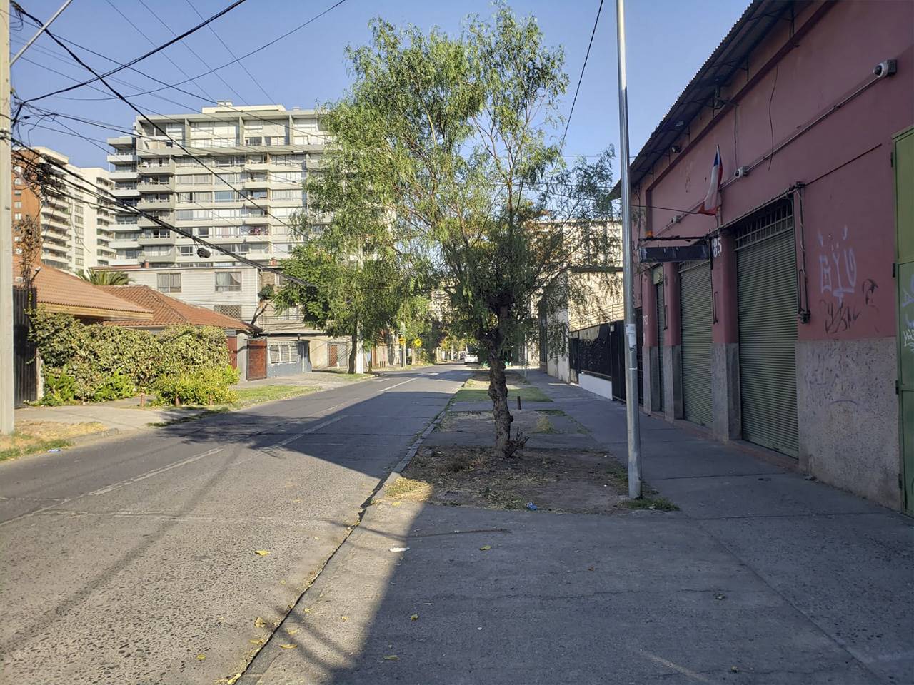 Curiñanca 785 - Imagen 6