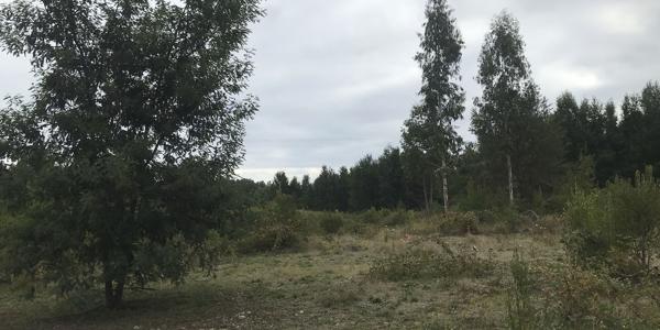Pedregoso Lote D - 2 A1 - Imagen 21