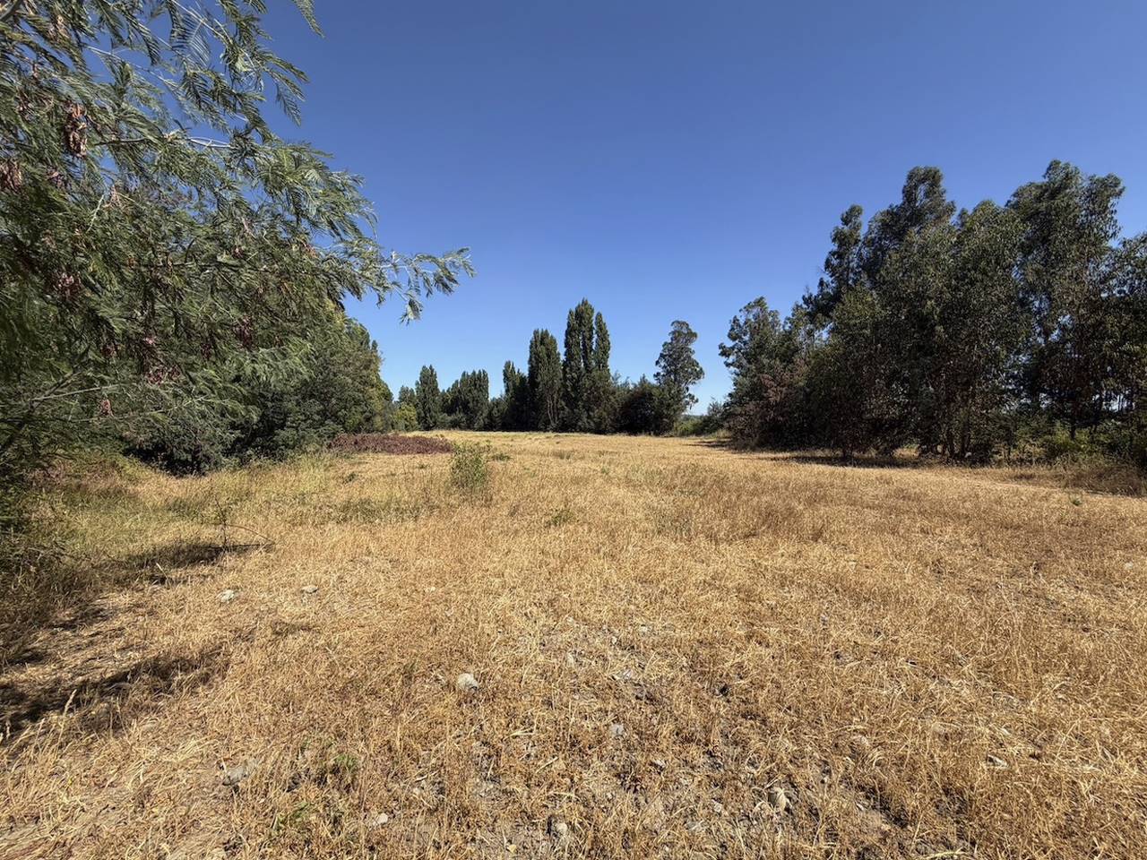 Isla de Arriba, Huapi , Lote 5 - Imagen 10