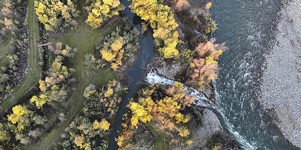 Isla de Arriba, Huapi , Lote 5 - Imagen 14