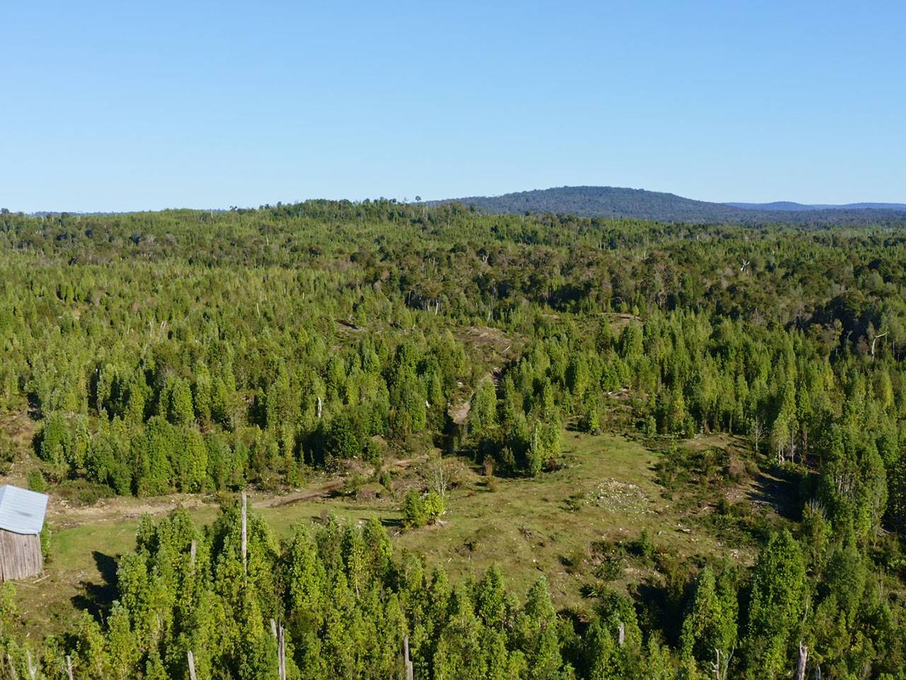 Molulco, Parcela 53 - Imagen 4